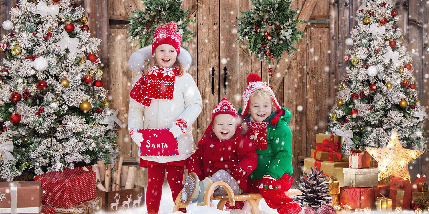 Christmas Photography Backdrops