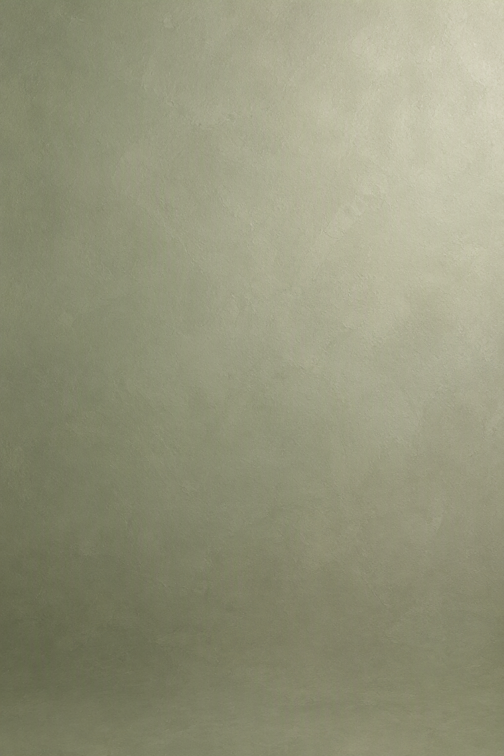 Soft sage studio sweep backdrop design, full-bleed printed pattern