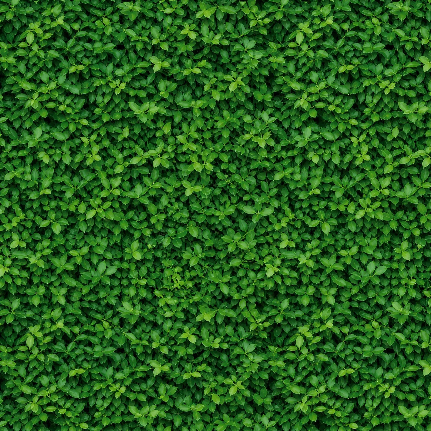 Folding Screen Backdrop 2.4x4m | Green Hedge Streaming Background